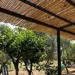 Casa Giulia - Vacanze A Σπίτι διακοπών Όλμπια
