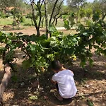 Σπίτι διακοπών Casa Giulia - Vacanze A Όλμπια
