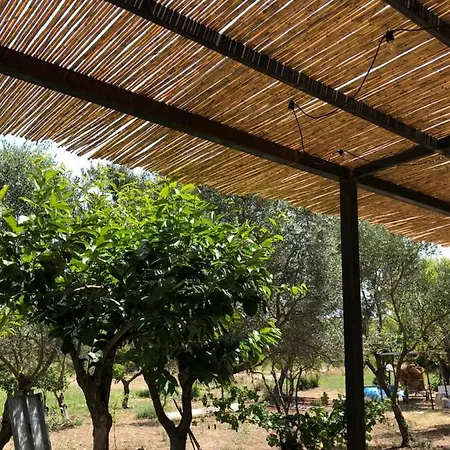 Casa Giulia - Vacanze A Сasa de vacaciones Olbia