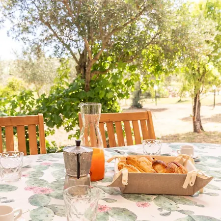 Casa Giulia - Vacanze A * Olbia